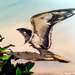 Seagull (acrylic painting)