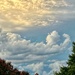 After the storm 