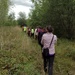 Follow the leader