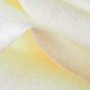 5th Aug 2025 - 58/365