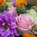 Colorful flowers