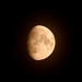 Red Moon