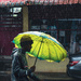 urban rain 
