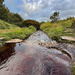 Swinister Burn