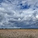 Cloudy Skies