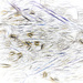 water abstract