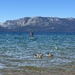 On the lake
