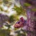 Hiding