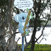 Keep Koalas Safe