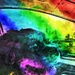 Rainbow Canine Companion  - Abstract #5