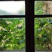 View from the workshop window