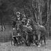 Cart racing