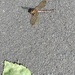 IMG_20250806_120955