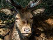 6th Aug 2025 - 59/365