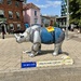 Rhino in Armour
