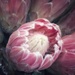 Abstract 7 - Macro