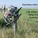 Hang in There!! by farmreporter