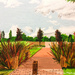 Pathway (acrylic painting)