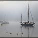 Fog on the River