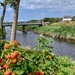 Summer on the River Wyre