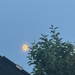 Man in the Moon 