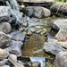 Calming