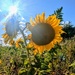 Bright and sunny