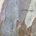 Manning Park