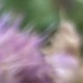 Macro abstract 