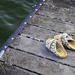 Left behind