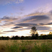 Evening clouds