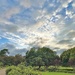 Hampton Park