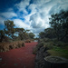Red Creek