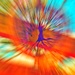 Kaleidoscope Spinner  