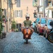 A Vespa racing up the street in Castel Gandolfo