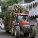 hauling cane