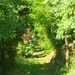 Greener than Green