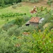 Capanna in the Fields