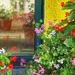 Flowery Paradise