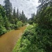 The Creek 