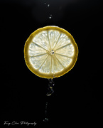 1st Aug 2025 - Day213