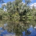 Calm