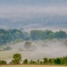 Misty Morning 