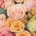 Choosing flowers for Denise 🌹💔