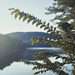 Delaware River