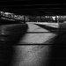 D219 Symphony of Light and Lines