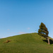 Prevailing Wind