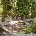 In the lost world 