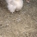 Treat time!