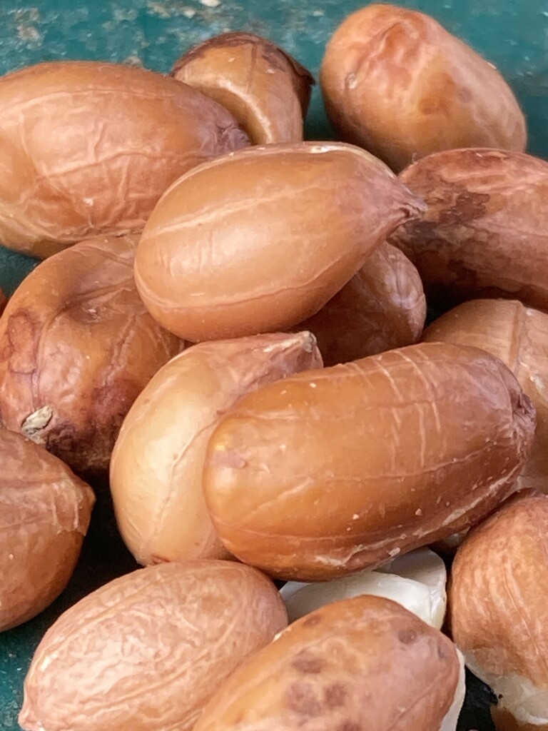 Bare Peanuts by spanishliz